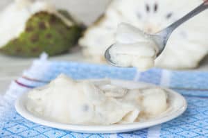 Graviola Fruchtmark Graviola Fruchtmark